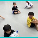 용인대대영태권도 | 울산태권도 울산의 자랑, 용인대대영태권도!