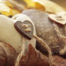 울주(울산) 이미지