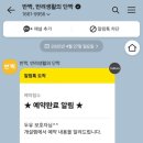 개설렘 이미지