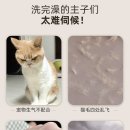 냥이댕이 이미지