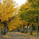 호수가 풍경소리 이미지