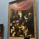 [Wien 🇦🇹] #2 롱안부는 빈에 가면 합스부르크 가문 대접 받는다