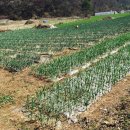 달산농장 이미지