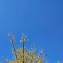 원좌회관 이미지