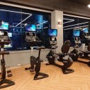 대전 스트렝스 이미지