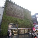 네이처리퍼블릭 카카오 검색결과