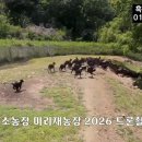 윙윙흑염소 네이버블로그