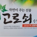 이상준 고로쇠 이미지