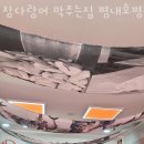 참다랑어막주는집평내