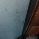 동백중앙로 이미지