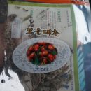 송죽농장 네이버블로그