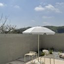 아프레투아 이미지