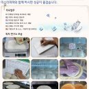 미스터파파임실치즈피자 네이버블로그