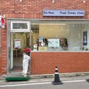 포포픽스 이미지