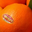 (주)유스팩토리 | [공지] 만 24세 대졸 여성의 여름 일상 🌱 : 찰나엔 흐려도 괜찮을거야