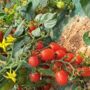 희원농장 이미지