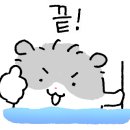 팔마수영장 이미지