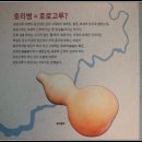 호로고루 홍보관 이미지