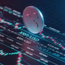 서사장의 잠재력 이미지