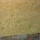 서진기획 이미지