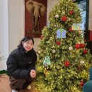 충현목장 이미지