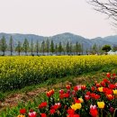 설천면117 이미지