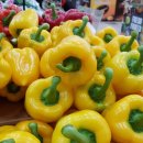 홈플러스 시계탑 앞 이미지