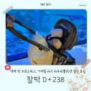 석운동7-7~석운동 52-5 | [25.12.25.] 찰떡일기 (52) :: 생애 첫 크리스마스🎄│7개월 아기 아쿠아플라넷 일산 방문 후기 ✔