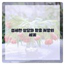 도마한의원 네이버블로그