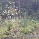 주헌농장 이미지