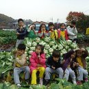 유안농장 이미지