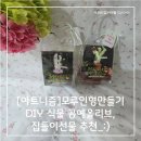하얀뜰어린이집 | [아트니즘]모루인형만들기 DIY 식물 공예올리브, 집들이선물 추천