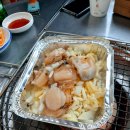 송정꼬리치는산곰장어 이미지