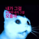 지에스25 병점엘타워점 | 그런 일이 있음에도 불구하고 여전히