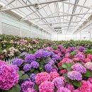 신례동로 이미지