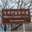 풍각터미널 Daum카페