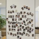 온아어린이치과의원 네이버블로그