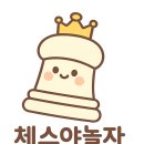 체스야 놀자 이미지