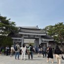 청와대, 국민 품으로 청와대관람후기 청와대 관람 신청방법