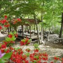 쉴만한 물가 이미지