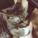 그루밍 타임 이미지