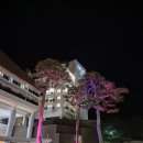 덕산골프연습장 | 예산 스플라스 리솜 리조트 1박2일 체험기, 한번쯤 가볼만한곳?