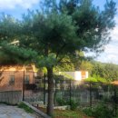 스테이화담 오향 이미지