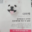 지오애견미용샵 이미지