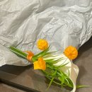 초화지 | 안산 선부동 본식 부케 예약주문 후기 초화지