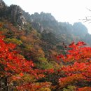 천지만물상