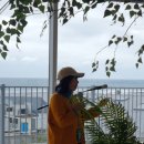 터미널 앞 이미지