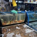 갈릴리 | 화려하게 깔리는 스끼다시에 반했다! 포항 죽도시장 맛집 갈릴리대게회식당 후기