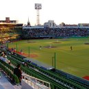 우리나라 야구장 전경입니다~ 이미지