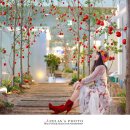 마고플레인 이미지